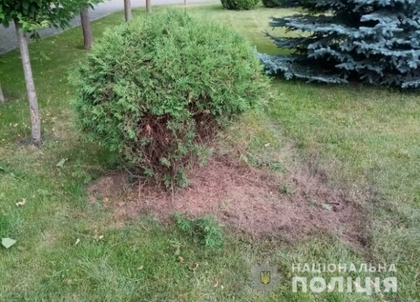 Прогремел взрыв: "янтарного короля" и соратника Порошенко Розенблата хотели подорвать в собственном дворе Прогремел взрыв: "янтарного короля" и соратника Порошенко Розенблата хотели подорвать в собственном дворе