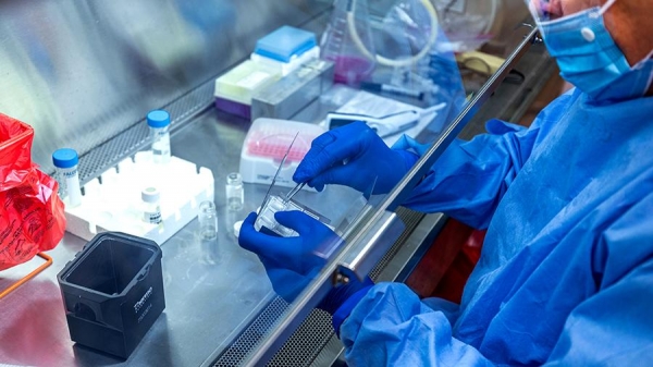 Эксперты рассказали, сколько денег нужно на вакцину от коронавируса
Эксперты рассказали, сколько денег нужно на вакцину от коронавируса