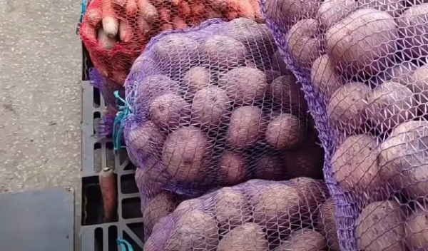 В Украине подорожал картофель: как это повлияло на качество и что будет с ценами дальше