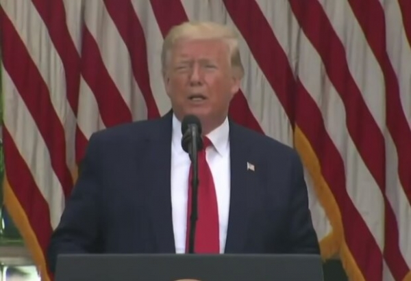 Одиозная активистка Ирма Крат попросила 100 самолетов у Трампа: критики - сепары, Трамп - не откажет