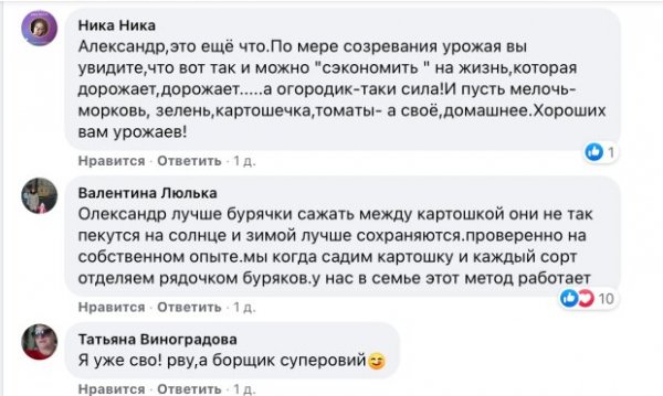 Свекла подорожала до 43.99 грн, украинцы уже сажают дома по две грядки сами: "Как знал..." Свекла подорожала до 43.99 грн, украинцы уже сажают дома по две грядки сами: "Как знал..."
