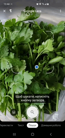 Вкусная статистика: Google назвал Топ-10 кулинарных запросов украинцев
