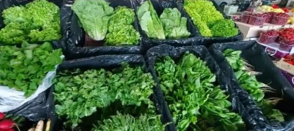 Им там не место: какие продукты нельзя хранить в холодильнике - только быстрее испортятся Им там не место: какие продукты нельзя хранить в холодильнике - только быстрее испортятся