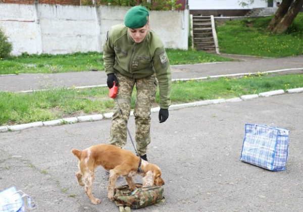 Симпатичная четвероногая пограничница очаровала украинцев: "Все надо делать с улыбкой"