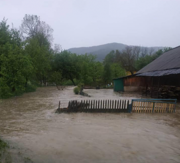 На Прикарпатье ушла под воду часть села: названа причина и опубликованы фото
На Прикарпатье ушла под воду часть села: названа причина и опубликованы фото
