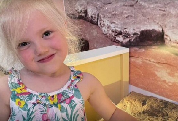 4-летняя малютка пошла на пляж и нашла динозавров: открытие перевернуло умы ученых