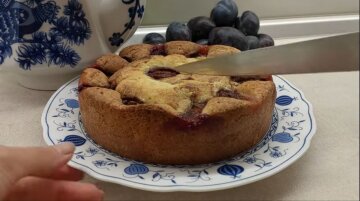 Сливовой пирог без сахара: простой и вкусный рецепт для всей семьи Сливовой пирог без сахара: простой и вкусный рецепт для всей семьи