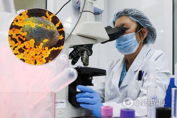 
Ученые дали важный совет, как уберечься от коронавируса
 