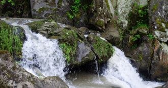Упал в водопад и завис на дереве: подробности трагической гибели школьника на экскурсии на Львовщине
