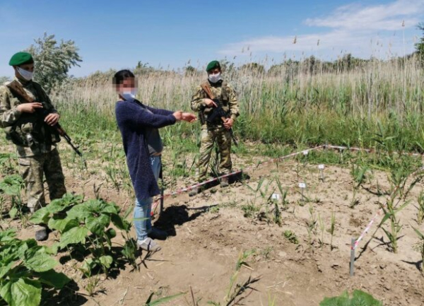 Главные новости за 26 марта: что будет с курсом доллара, пока обещают рост тарифов и новые проблемы для уклонистов Главные новости за 26 марта: что будет с курсом доллара, пока обещают рост тарифов и новые проблемы для уклонистов