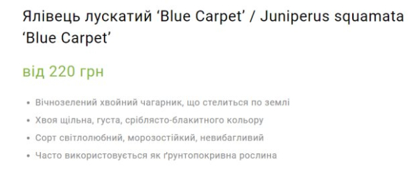 КП в Кривом Роге планирует вложить 1,4 млн в саженцы: цена завышена в 7 раз