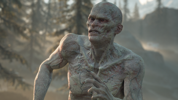 Разработчики Days Gone показали красоты ПК-версии игры
