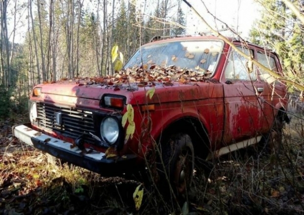 В Финляндии обнаружили "кладбище" советских авто В Финляндии обнаружили "кладбище" советских авто