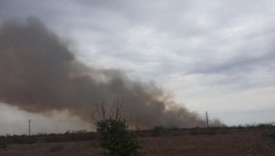 "Задвохсотили" 138 оккупантов: авиация ВСУ 24 раза ударила по россиянам на юге
"Задвохсотили" 138 оккупантов: авиация ВСУ 24 раза ударила по россиянам на юге