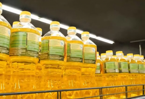 На подсолнечном масле придется экономить: какие цены выставили продавцы за этот продукт