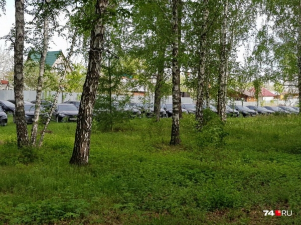 Полсотни новых Toyota Camry бросили в лесу
Полсотни новых Toyota Camry бросили в лесу