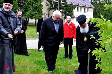 На Львовщине в знак единства духовенство посадило клен На Львовщине в знак единства духовенство посадило клен