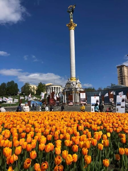 В Киеве в честь Героев Небесной сотни расцвели 100 тысяч тюльпанов
