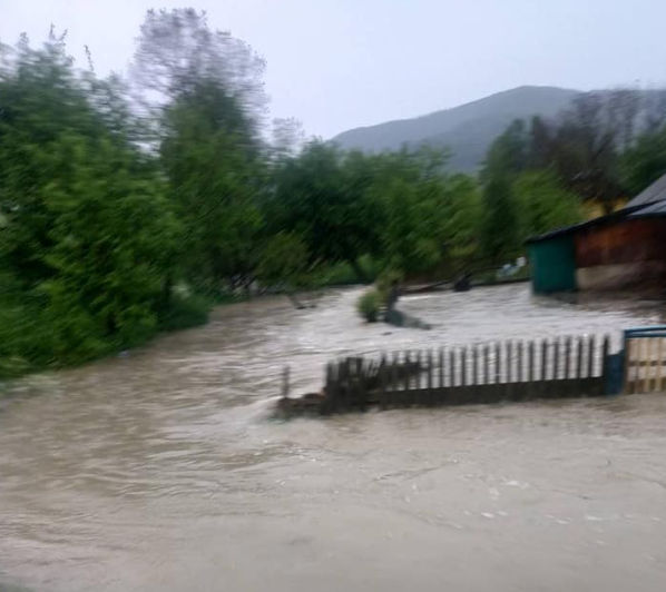 На Прикарпатье ушла под воду часть села: названа причина и опубликованы фото
На Прикарпатье ушла под воду часть села: названа причина и опубликованы фото