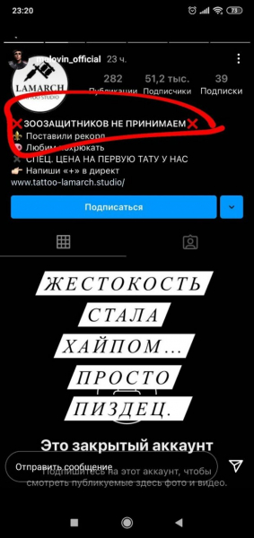 Melovin оказался клиентом салона, где свинье набивали тату на всю спину: "Мне стыдно" Melovin оказался клиентом салона, где свинье набивали тату на всю спину: "Мне стыдно"