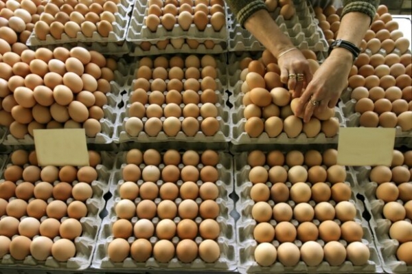 Спасибо, что не мужские! Ашан попался на продаже "детских" яиц Спасибо, что не мужские! Ашан попался на продаже "детских" яиц