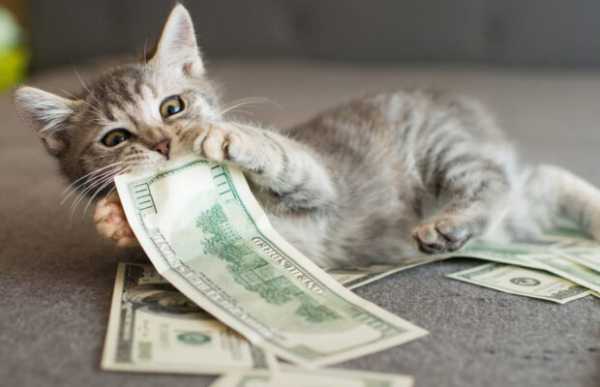 Подставляйте кошелек и ловите: 3 знака Зодиака, на которых польется денежный дождь в ноябре Подставляйте кошелек и ловите: 3 знака Зодиака, на которых польется денежный дождь в ноябре