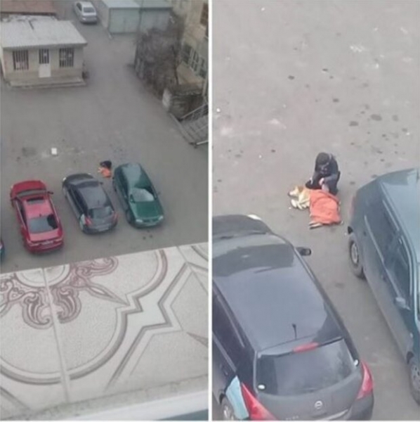 Ребенок спас собаку и заставил полмира плакать от счастья - герой даже не знал, что его снимают