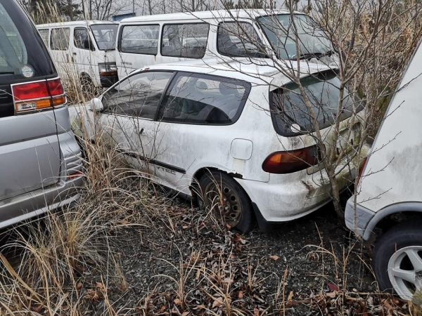 Так и остались на улицах: нетронутые авто в зоне отчуждения
Так и остались на улицах: нетронутые авто в зоне отчуждения
