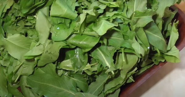 Никогда не храните их в морозилке: названы пять неожиданных продуктов Никогда не храните их в морозилке: названы пять неожиданных продуктов