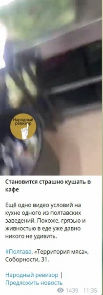 Подозрительные членистоногие оккупировали украинское кафе Подозрительные членистоногие оккупировали украинское кафе