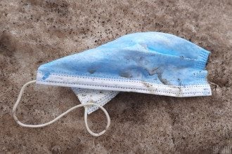 Вся Украина станет "желтой": названа дата
Вся Украина станет "желтой": названа дата