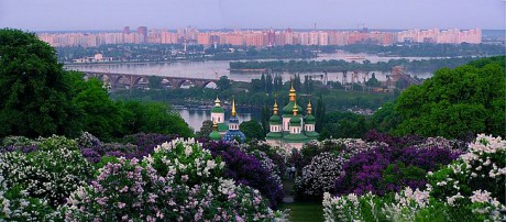 Киевский ботсад имени Гришко заработал после карантина Киевский ботсад имени Гришко заработал после карантина