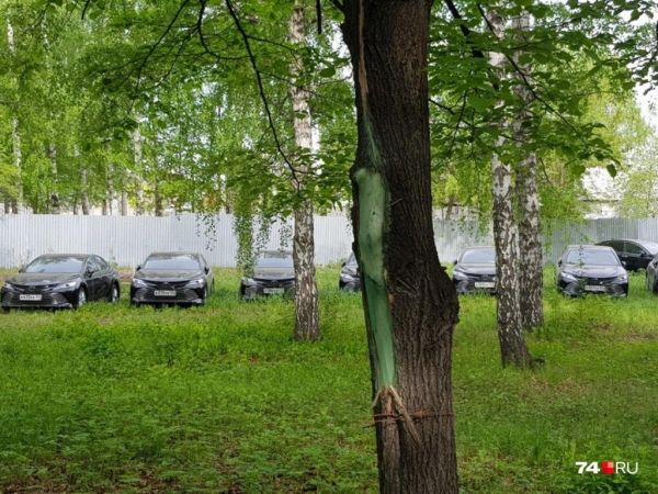 Полсотни новых Toyota Camry бросили в лесу
Полсотни новых Toyota Camry бросили в лесу