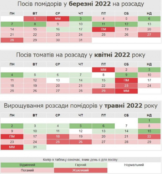 Помидоры точно дадут хороший урожай: огородникам рассказали про лучшие даты посева рассады