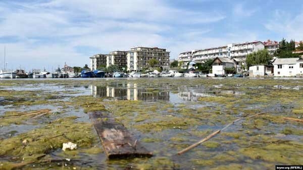 Грязь, вонь и покрышки в море: Крым превращается в помойку из-за жестокости оккупантов