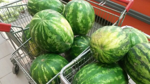 Цены на арбузы и дыни в сентябре достигли заоблачных высот: какую стоимость лупят в супермаркетах Цены на арбузы и дыни в сентябре достигли заоблачных высот: какую стоимость лупят в супермаркетах
