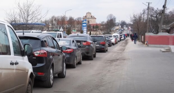 Уберите любимчика, а то навлечете беду: почему нельзя позволять собакам высовывать голову из окна машины Уберите любимчика, а то навлечете беду: почему нельзя позволять собакам высовывать голову из окна машины