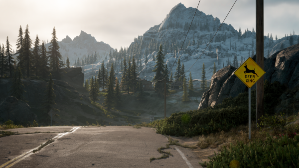 Разработчики Days Gone показали красоты ПК-версии игры
