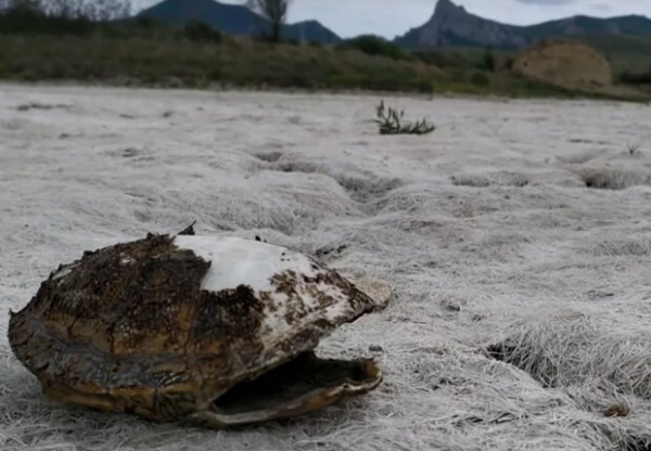 Россия обеспечила Крым "долгожданной" водой неприятного цвета: посуду не помоешь Россия обеспечила Крым "долгожданной" водой неприятного цвета: посуду не помоешь