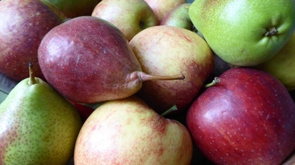 Сон будет как у младенца: натуральные продукты, которые помогут уснуть Сон будет как у младенца: натуральные продукты, которые помогут уснуть