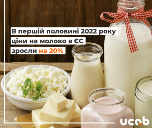 Молочные продукты становятся все дороже: по какой цене сейчас продают масло, молоко, творог и кефир Молочные продукты становятся все дороже: по какой цене сейчас продают масло, молоко, творог и кефир