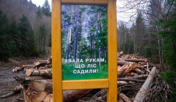 Загрязнение реки и незаконная рубка деревьев: Госэкоинспекция сообщила о нарушениях за неделю Загрязнение реки и незаконная рубка деревьев: Госэкоинспекция сообщила о нарушениях за неделю