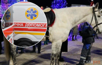 Катала детей вокруг елки: в Тернополе лошадь ударила копытом в живот 5-летнего мальчика

