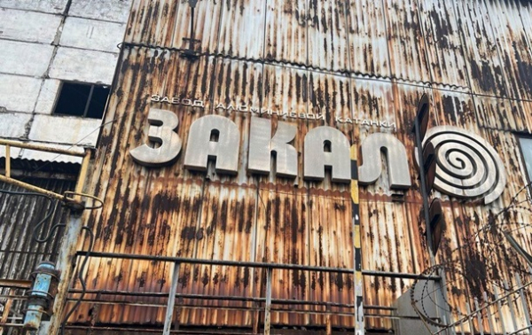 ФГИ готовит к продаже три завода в Запорожье