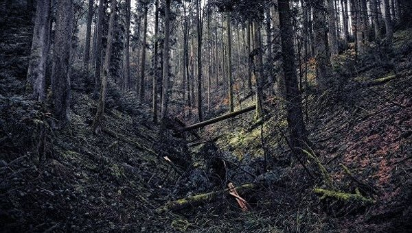 Где отпраздновать Хэллоуин на Украине: 4 ужасающие идеи Где отпраздновать Хэллоуин на Украине: 4 ужасающие идеи