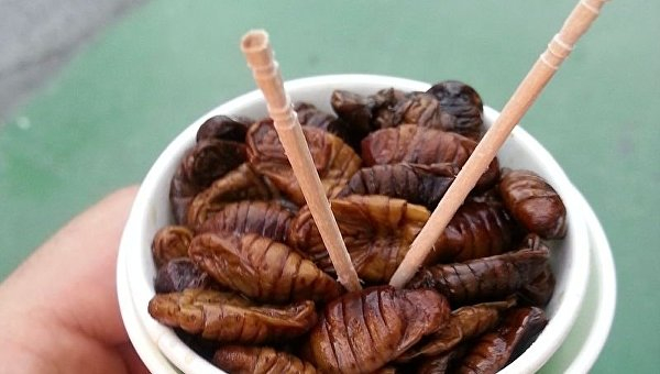 Гнилая кукуруза, котлеты из мошек и мороженое из человеческого молока: семь мерзких блюд мира