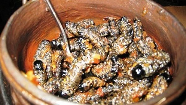 Гнилая кукуруза, котлеты из мошек и мороженое из человеческого молока: семь мерзких блюд мира