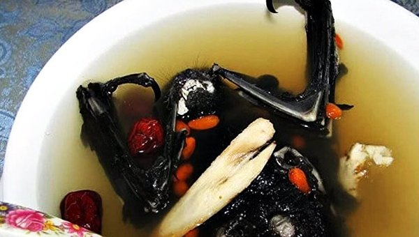 Гнилая кукуруза, котлеты из мошек и мороженое из человеческого молока: семь мерзких блюд мира