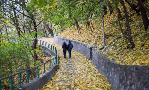 Холодный фронт принесет в Украину существенное похолодание Холодный фронт принесет в Украину существенное похолодание