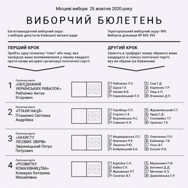 Кто здесь? Как не сломать мозг на местных выборах Кто здесь? Как не сломать мозг на местных выборах